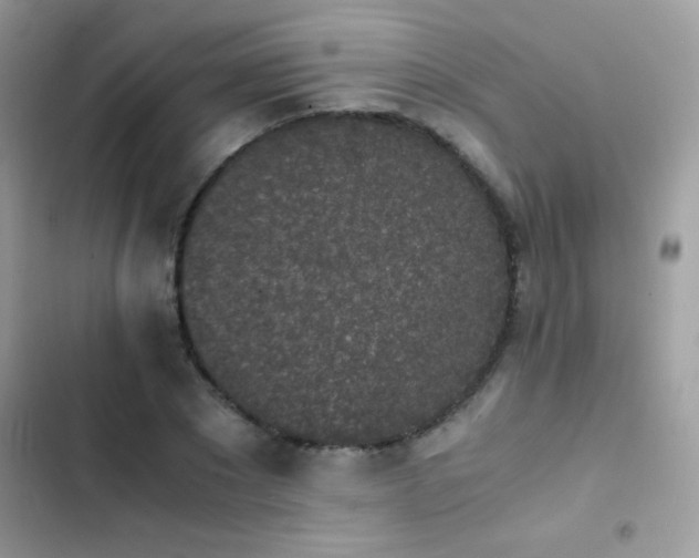 X0000103960881200809191509