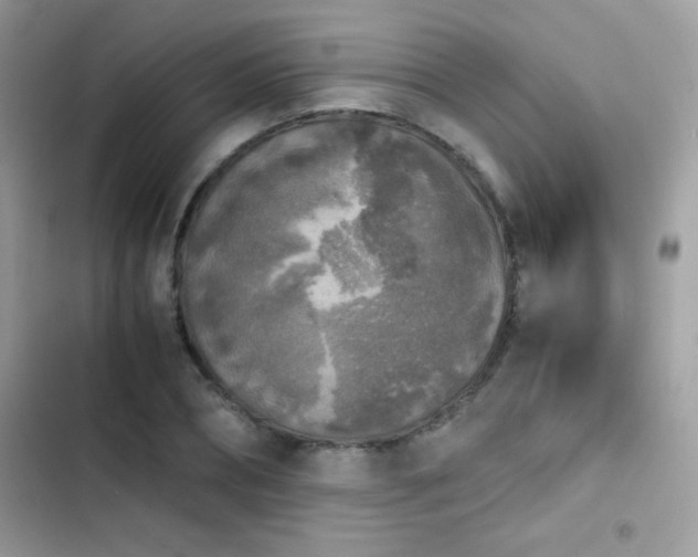 X0000103960882200809191509