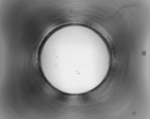 X0000103960883200809191509