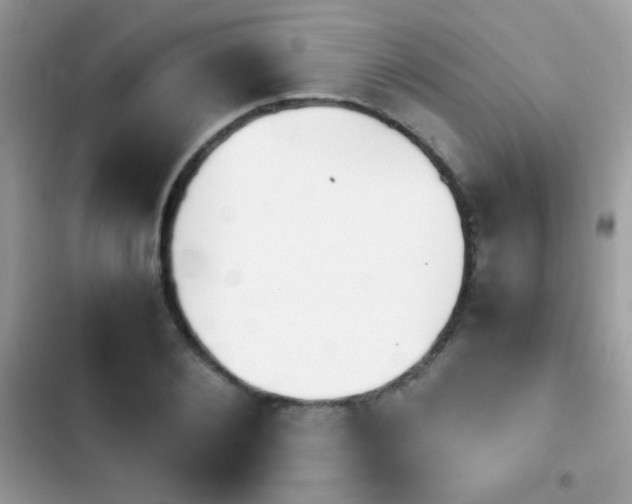 X0000103960884200809191509