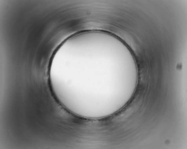 X0000103960885200809191509