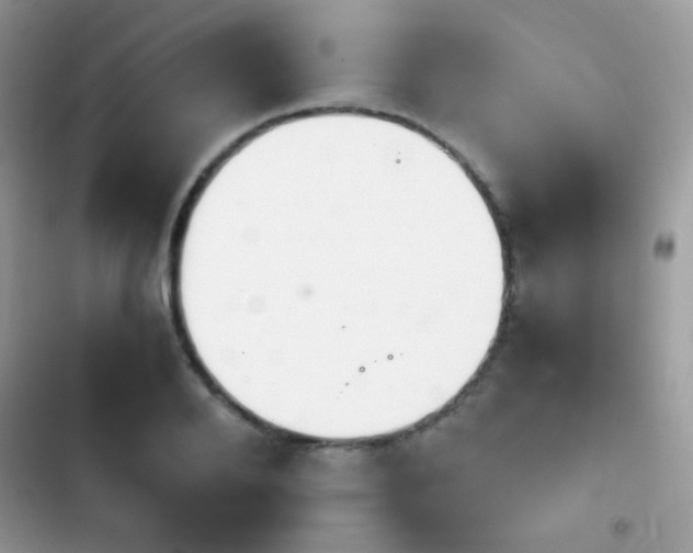 X0000103960888200809191509
