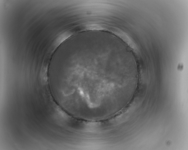 X0000103960889200809191509
