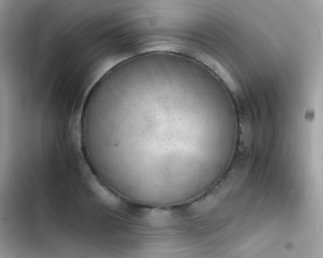 X0000103960890200809191509