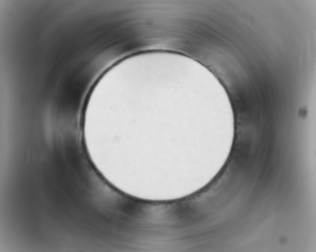 X0000103960892200809191509