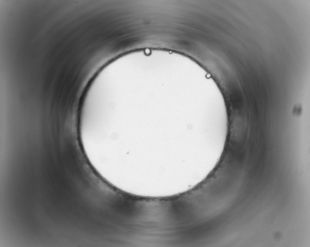 X0000103960896200809191509