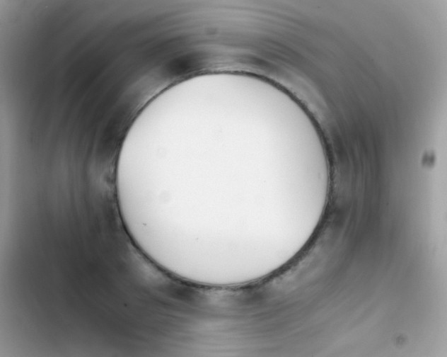 X0000103960897200809191509