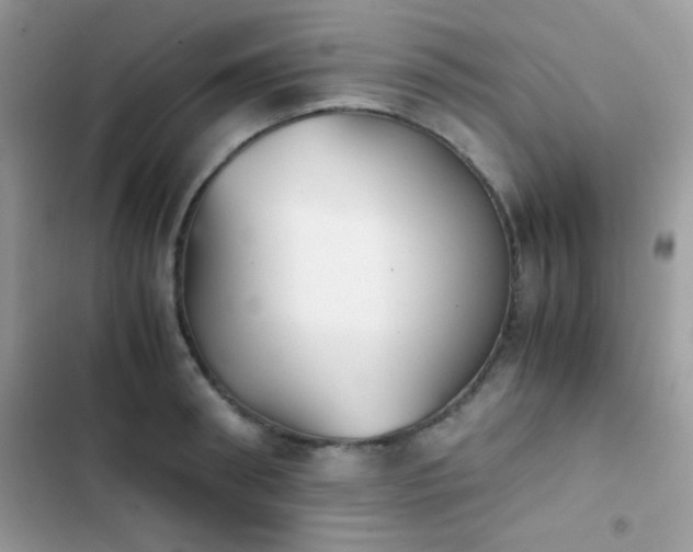 X0000103960898200809191509