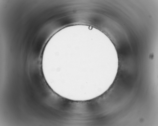 X0000103960900200809191509