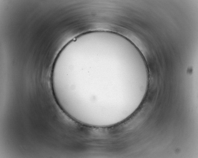 X0000103960901200809191509