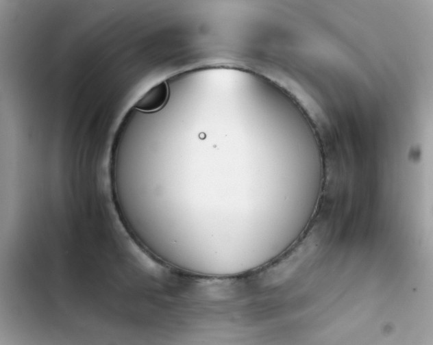 X0000103960902200809191509
