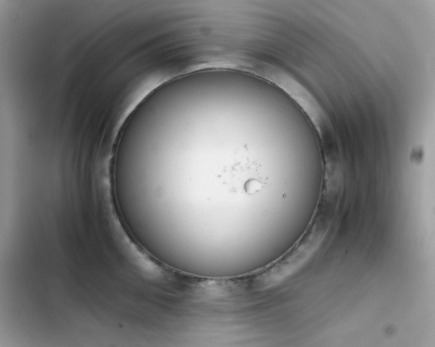 X0000103960906200809191509