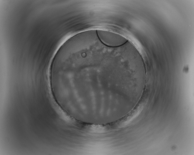 X0000103960907200809191509