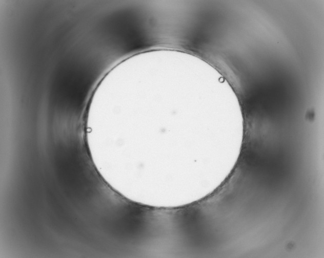 X0000103960908200809191508
