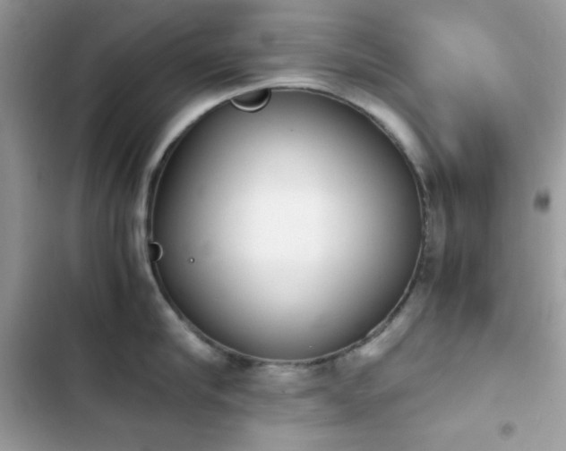 X0000103960910200809191508