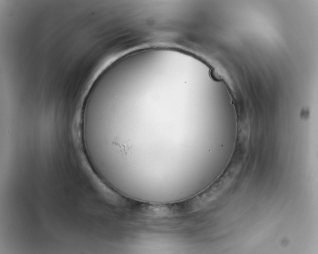 X0000103960911200809191508