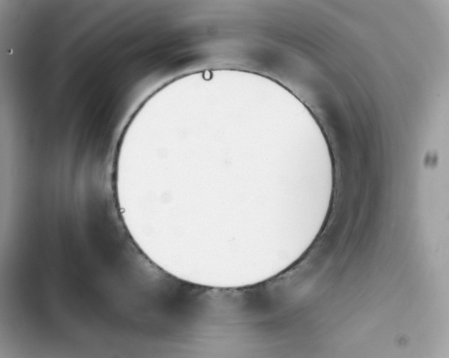 X0000103960912200809191508