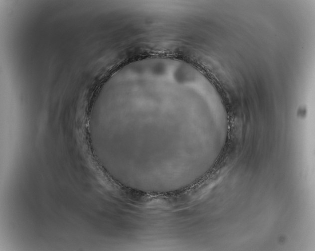 X0000103960913200809191507