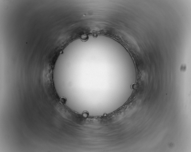 X0000103960914200809191507