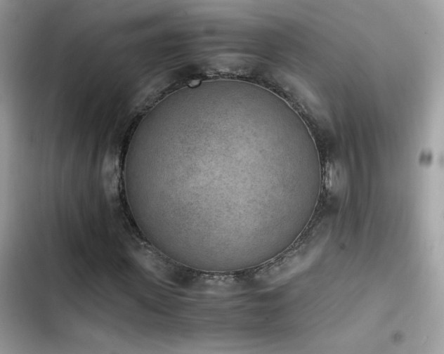 X0000103960915200809191507