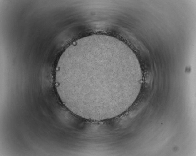 X0000103960916200809191507
