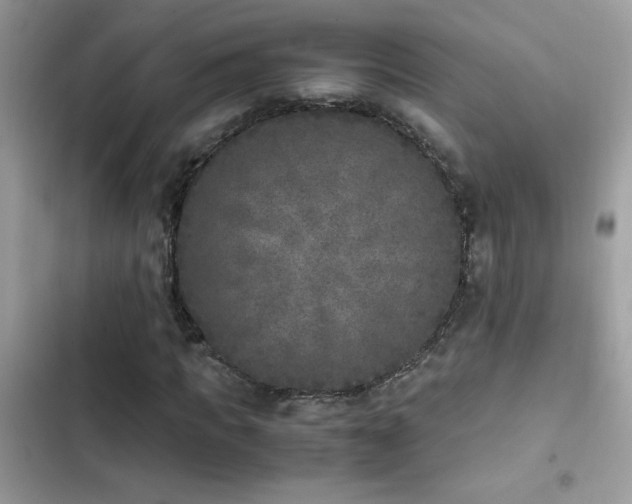 X0000103960917200809191507