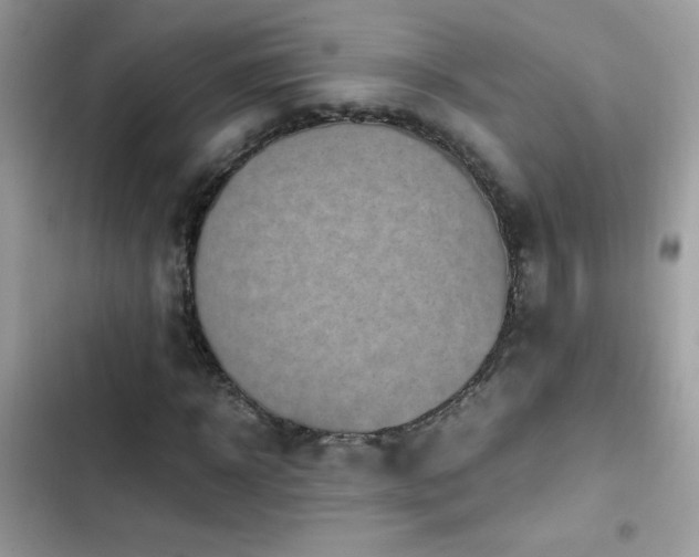 X0000103960918200809191508