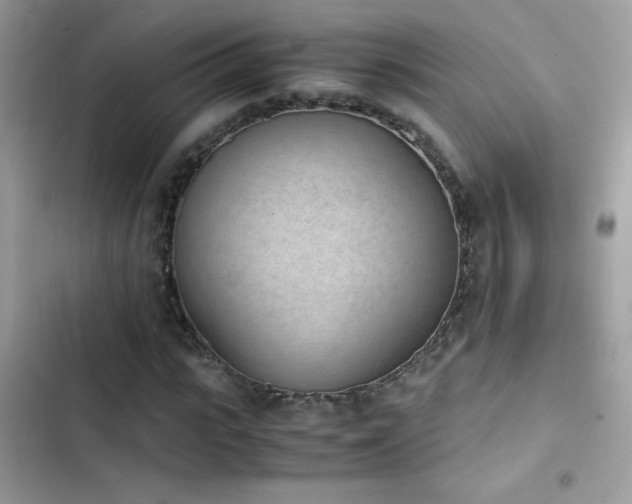 X0000103960919200809191508