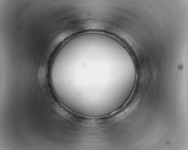 X0000103960922200809191508