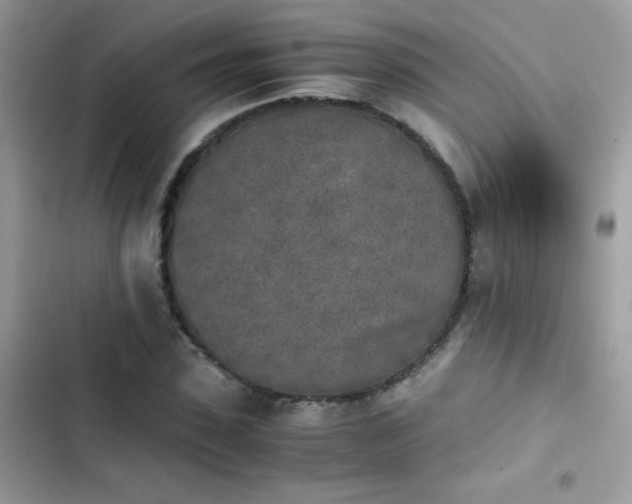 X0000103960923200809191508