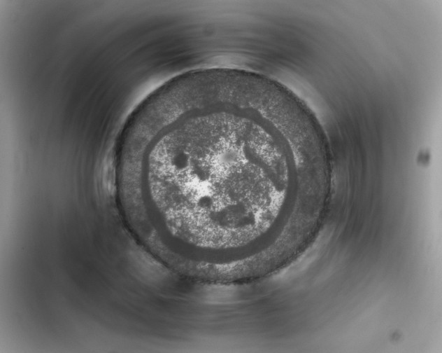 X0000103960925200809191508