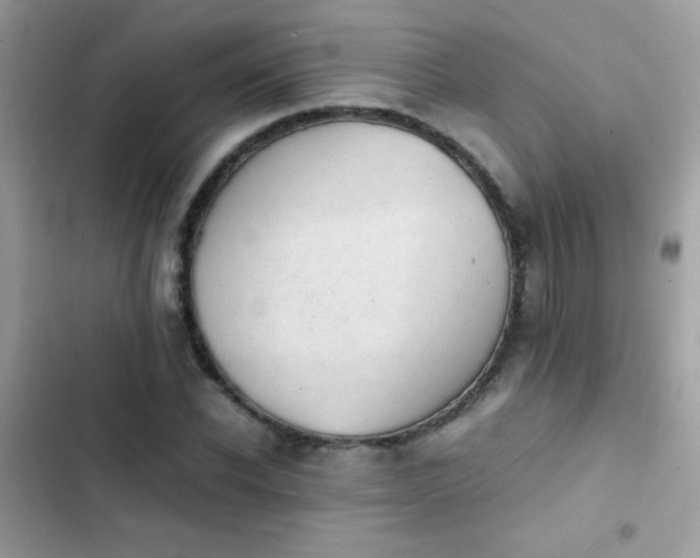 X0000103960926200809191508