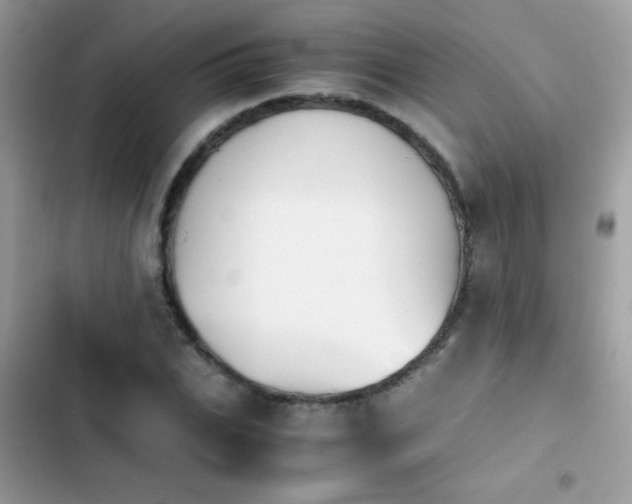 X0000103960927200809191508