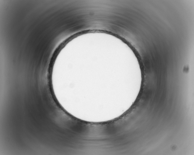 X0000103960928200809191508