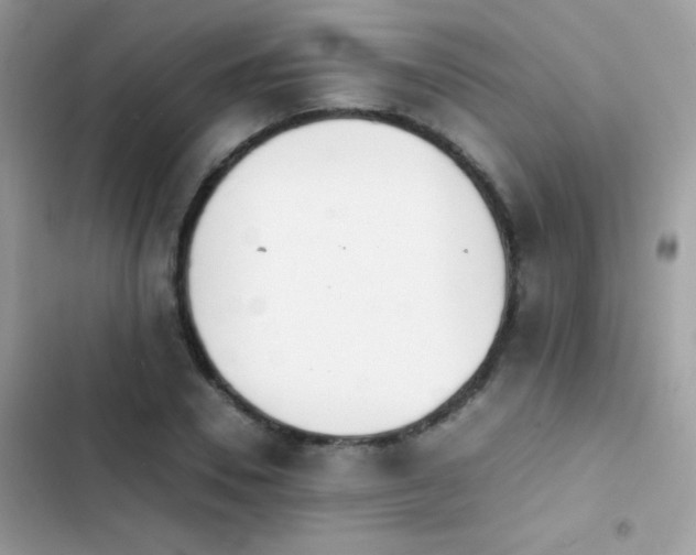 X0000103960930200809191508