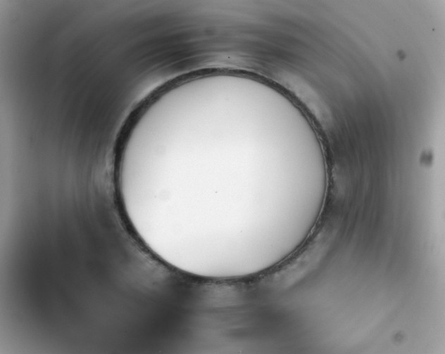 X0000103960931200809191508
