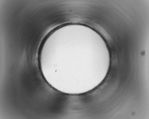 X0000103960932200809191508