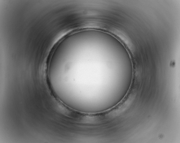 X0000103960933200809191508