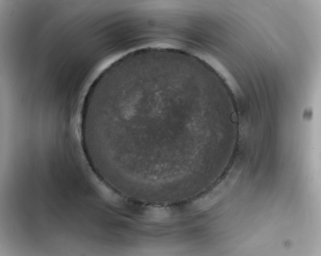 X0000103960935200809191508