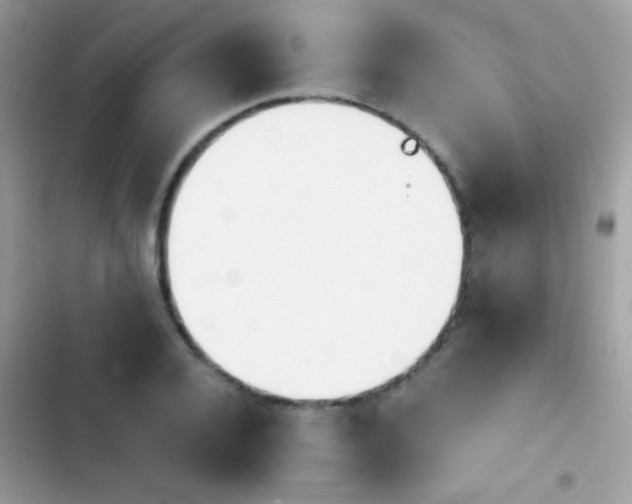 X0000103960936200809191508