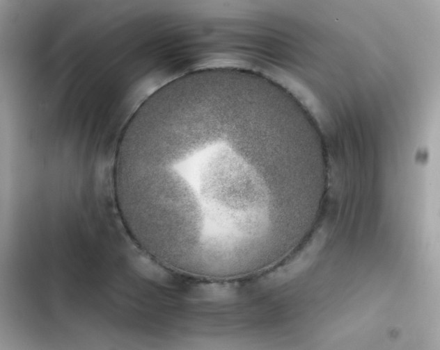 X0000103960937200809191508