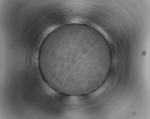 X0000103960938200809191508