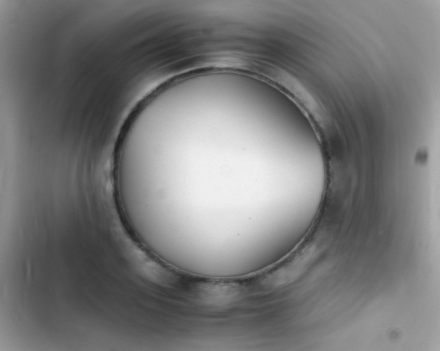 X0000103960939200809191508