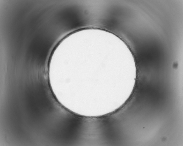 X0000103960940200809191508