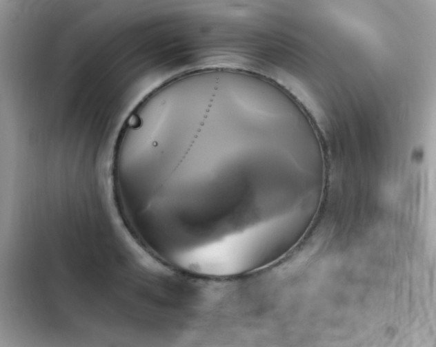 X0000103960941200809191508