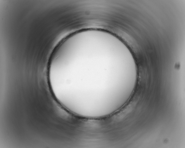 X0000103960942200809191508