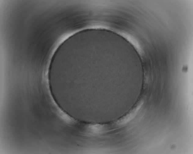 X0000103960943200809191508