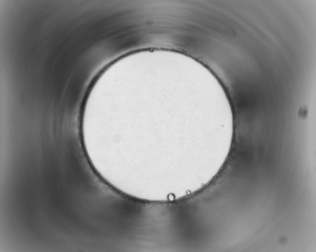X0000103960944200809191508