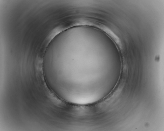 X0000103960945200809191508