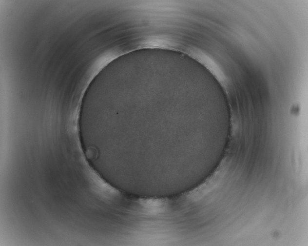 X0000103960946200809191508